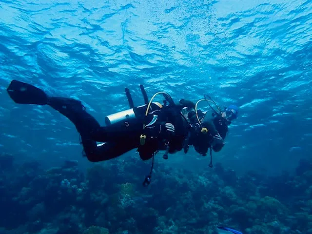 Diving trip to Marsa Shagra, 2023, photo 6