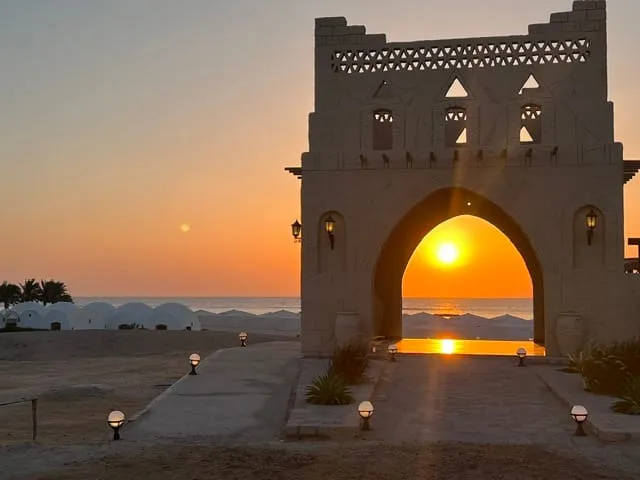 Diving trip to Marsa Shagra, 2023, photo 7
